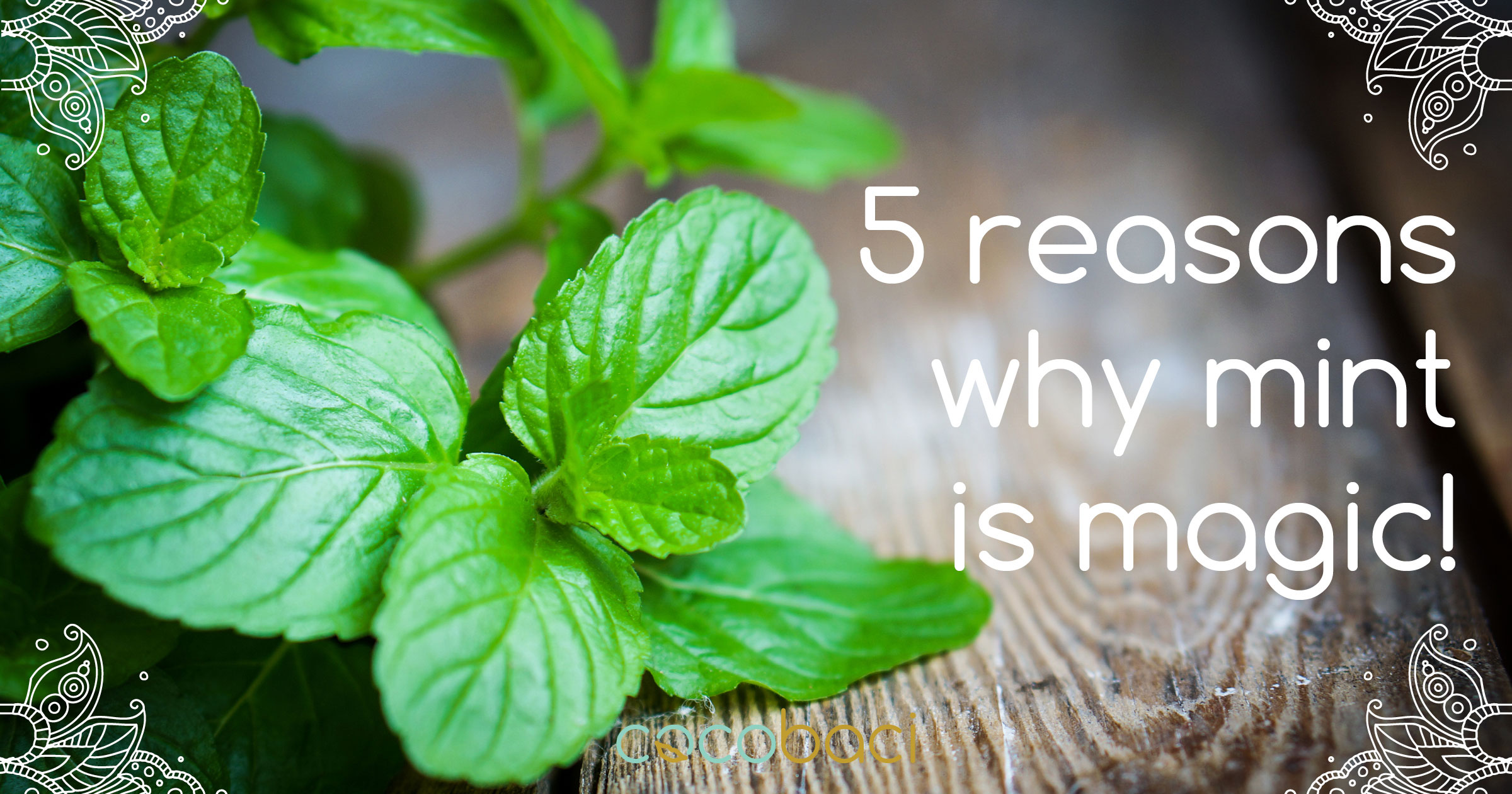 There's more to mint than you think!