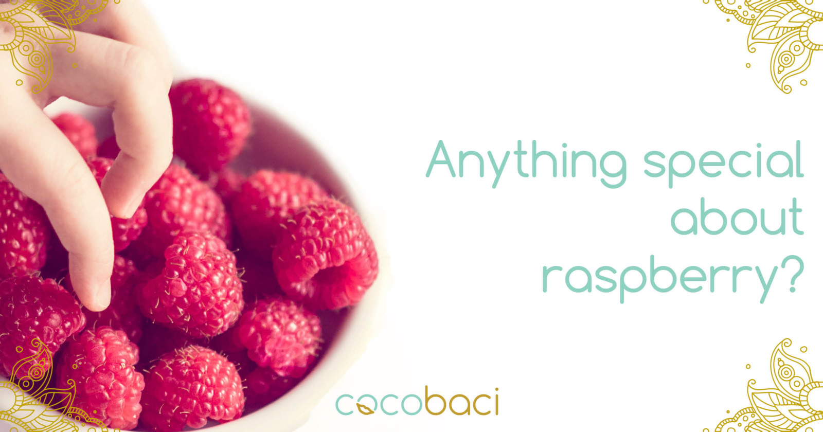 What makes raspberry so special?